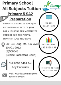 Primary 5 SA2 Preparation