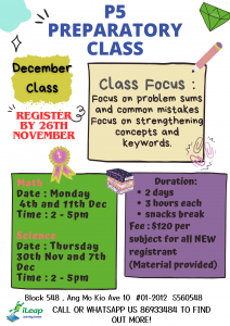 Primary 5 Preparation Class