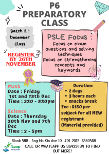 Primary 6 PSLE Preparation Class