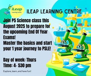 Prepare for Term 3 WA and EOY